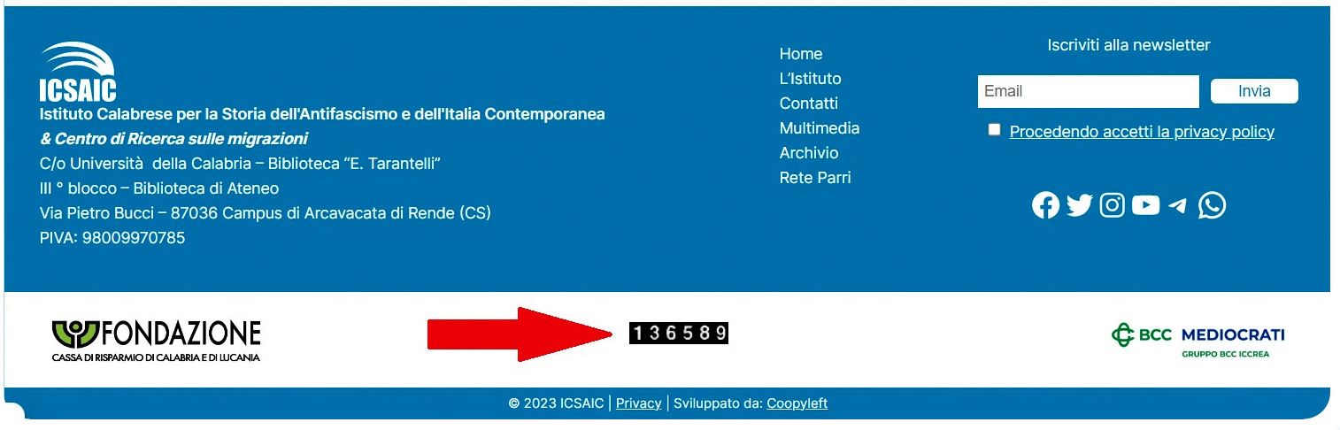 Sito ICSAIC: 136 mila contatti nell’ultimo anno